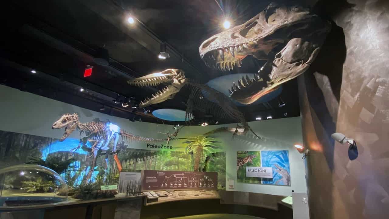 Museum Of Natural History Delaware