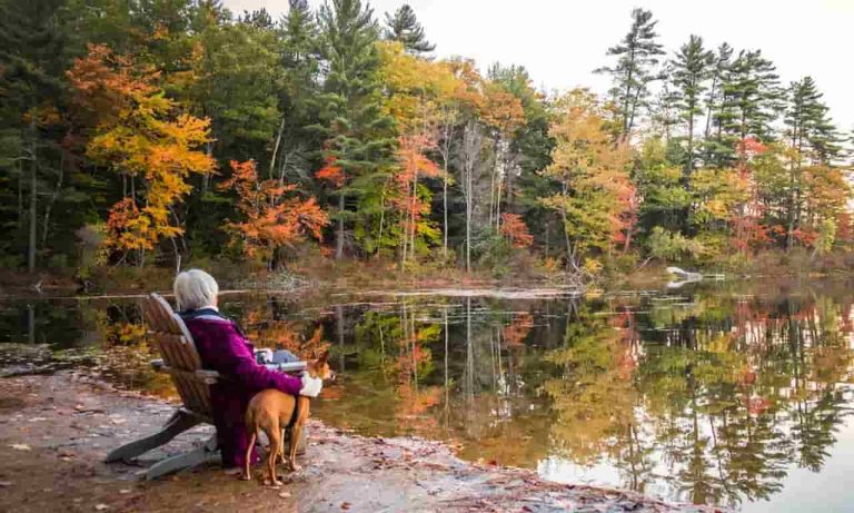 New Hampshire 1