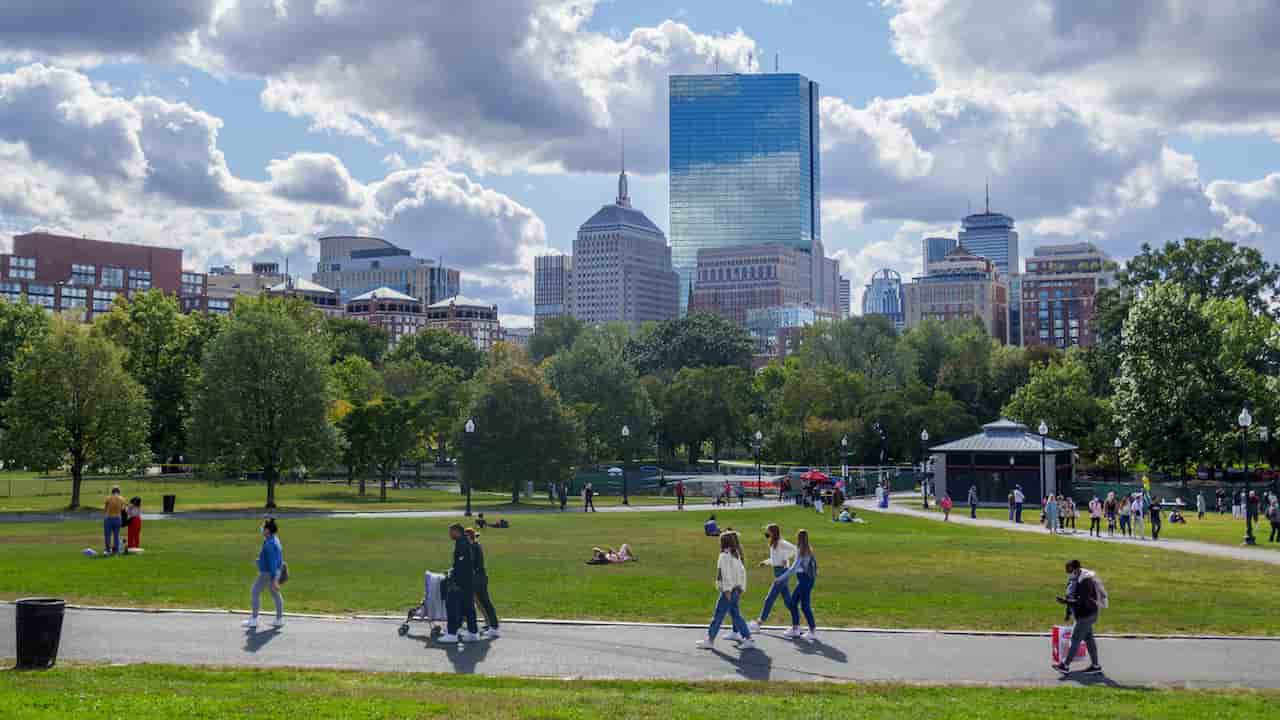 Picnic at Boston Common