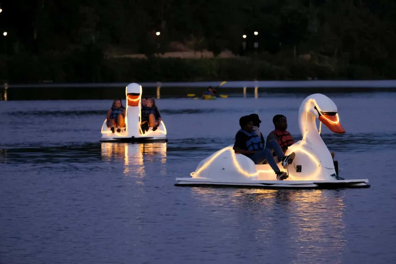 Swan Boat Ride on Lake Morton