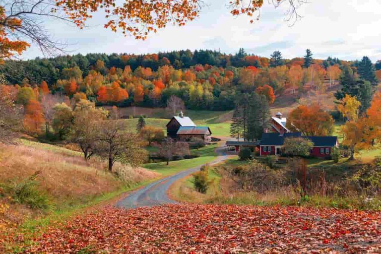 Vermont