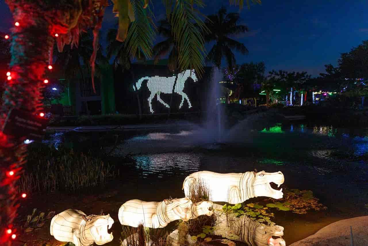 Zoo Light In Miami