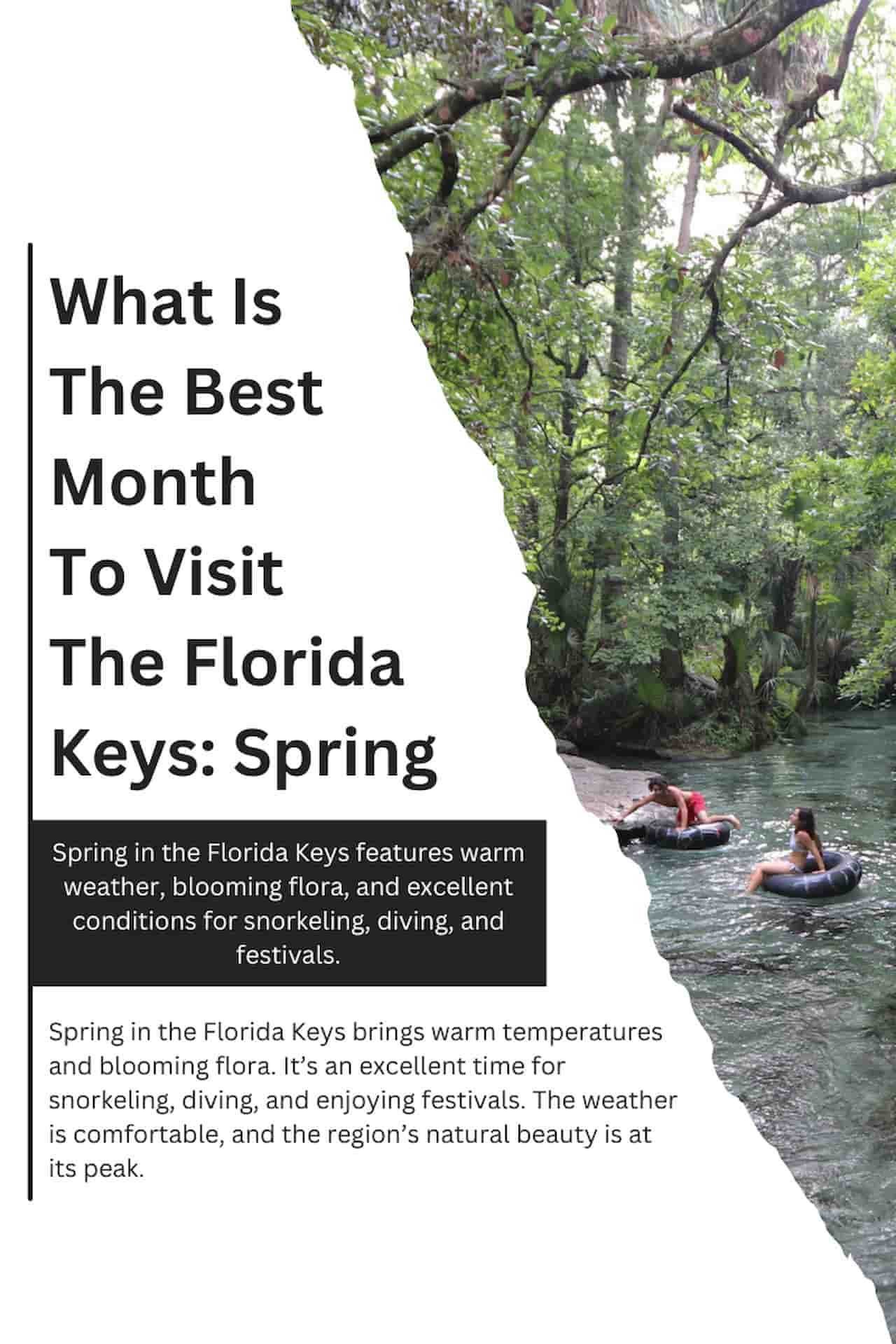 What Is The Best Month To Visit The Florida Keys Spring