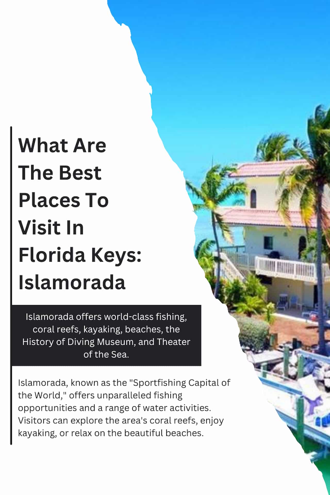 What Are The Best Places To Visit In Florida Keys Islamorada