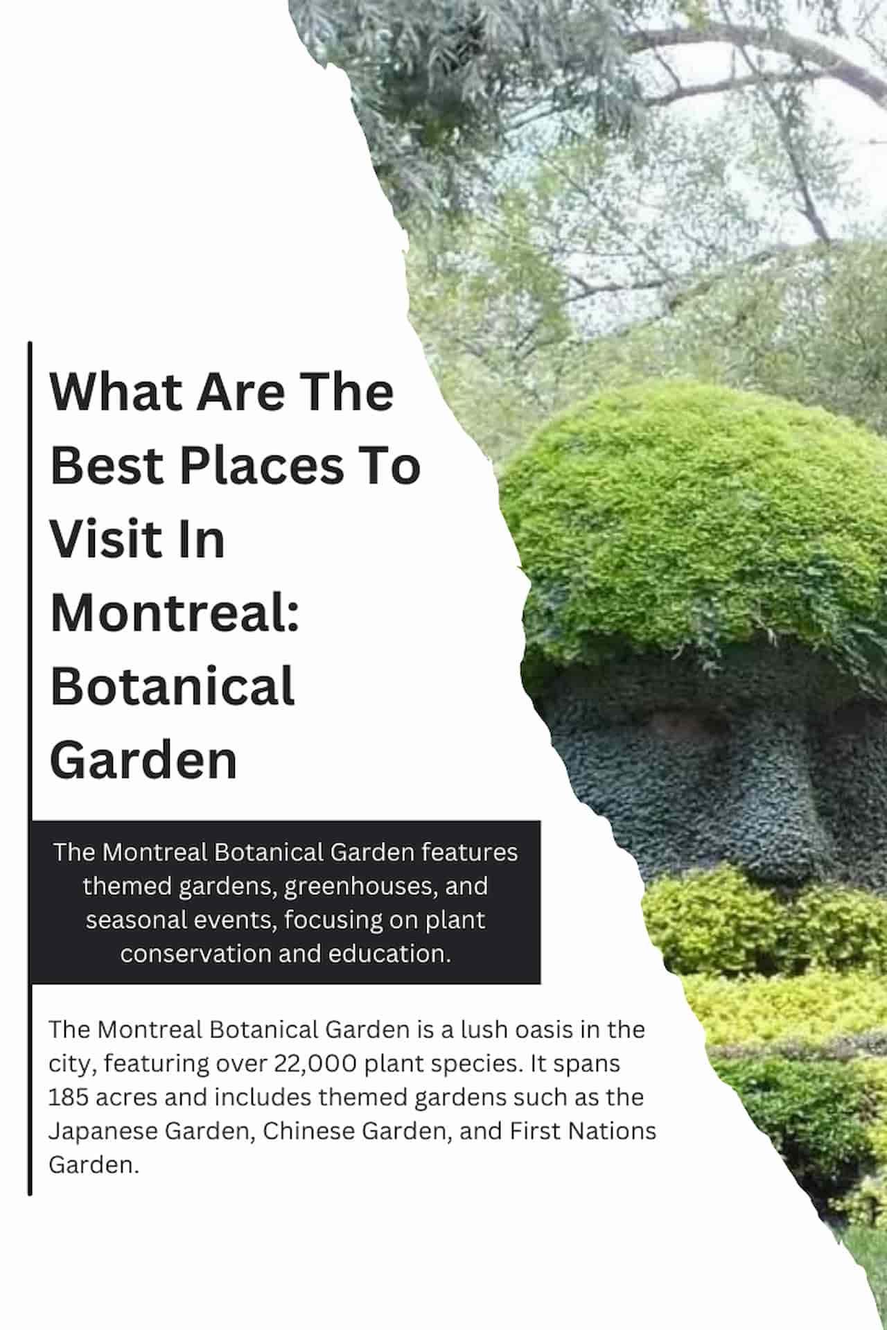 What Are The Best Places To Visit In Montreal Botanical Garden