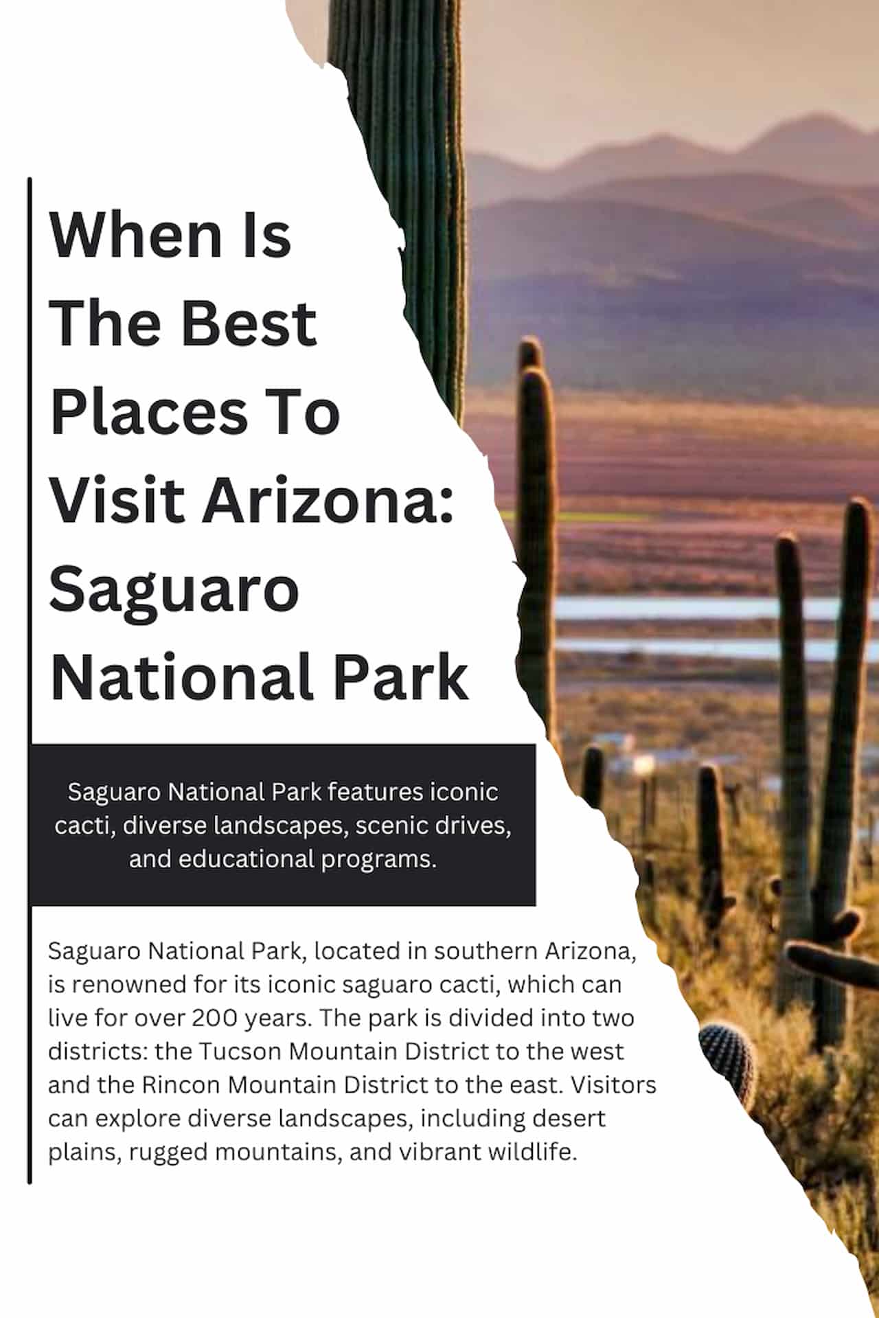 When Is The Best Places To Visit Arizona Saguaro National Park