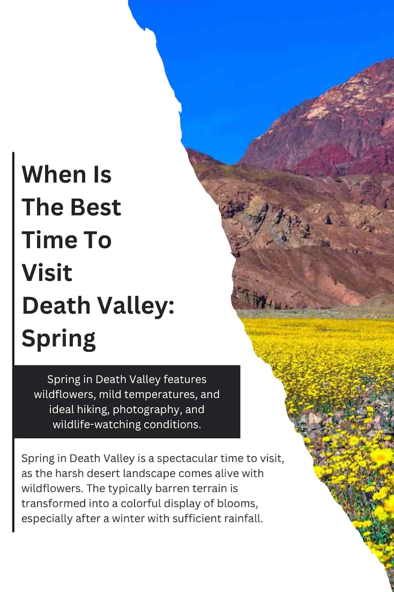 When Is The Best Time To Visit Death Valley Spring