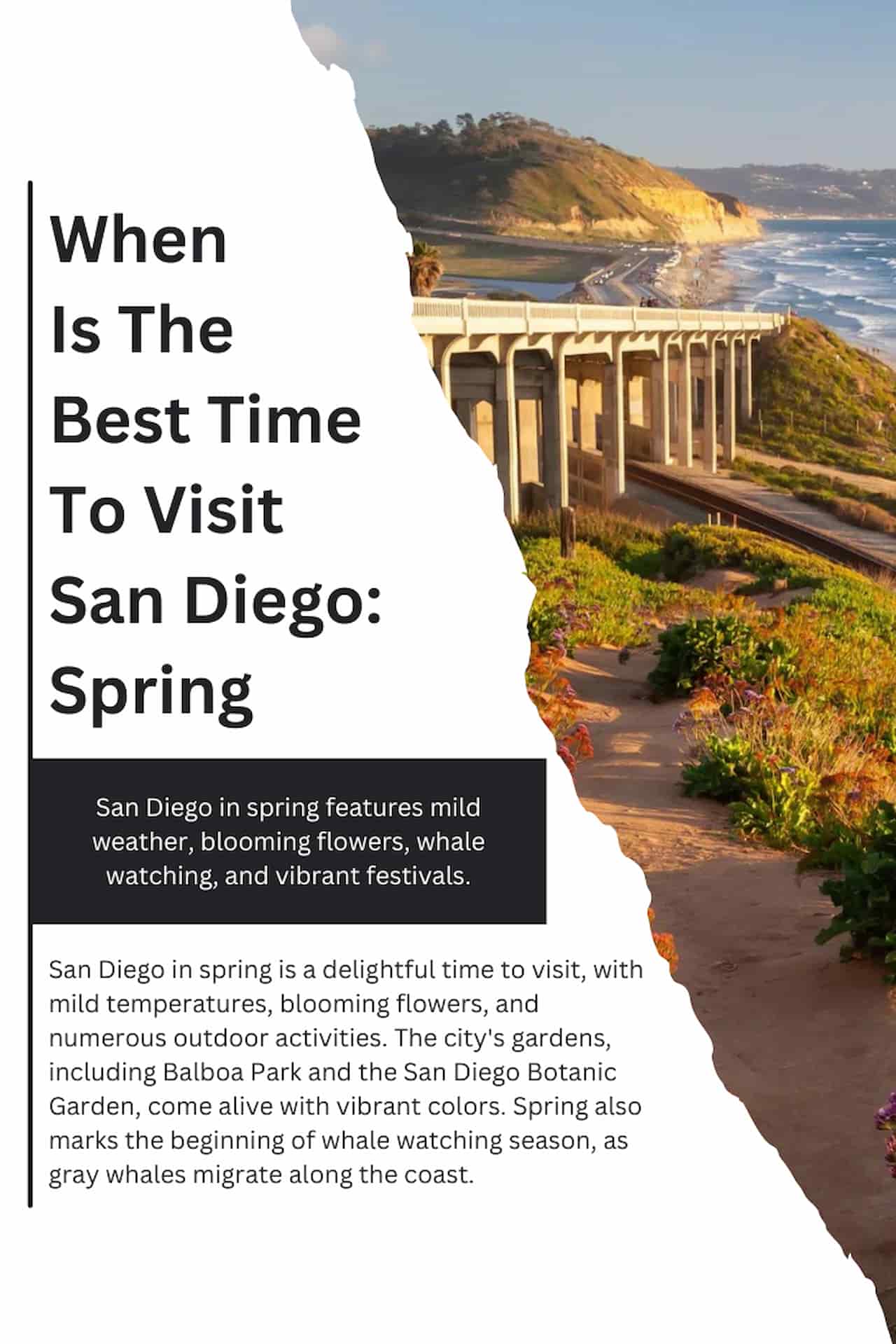 When Is The Best Time To Visit San Diego Spring