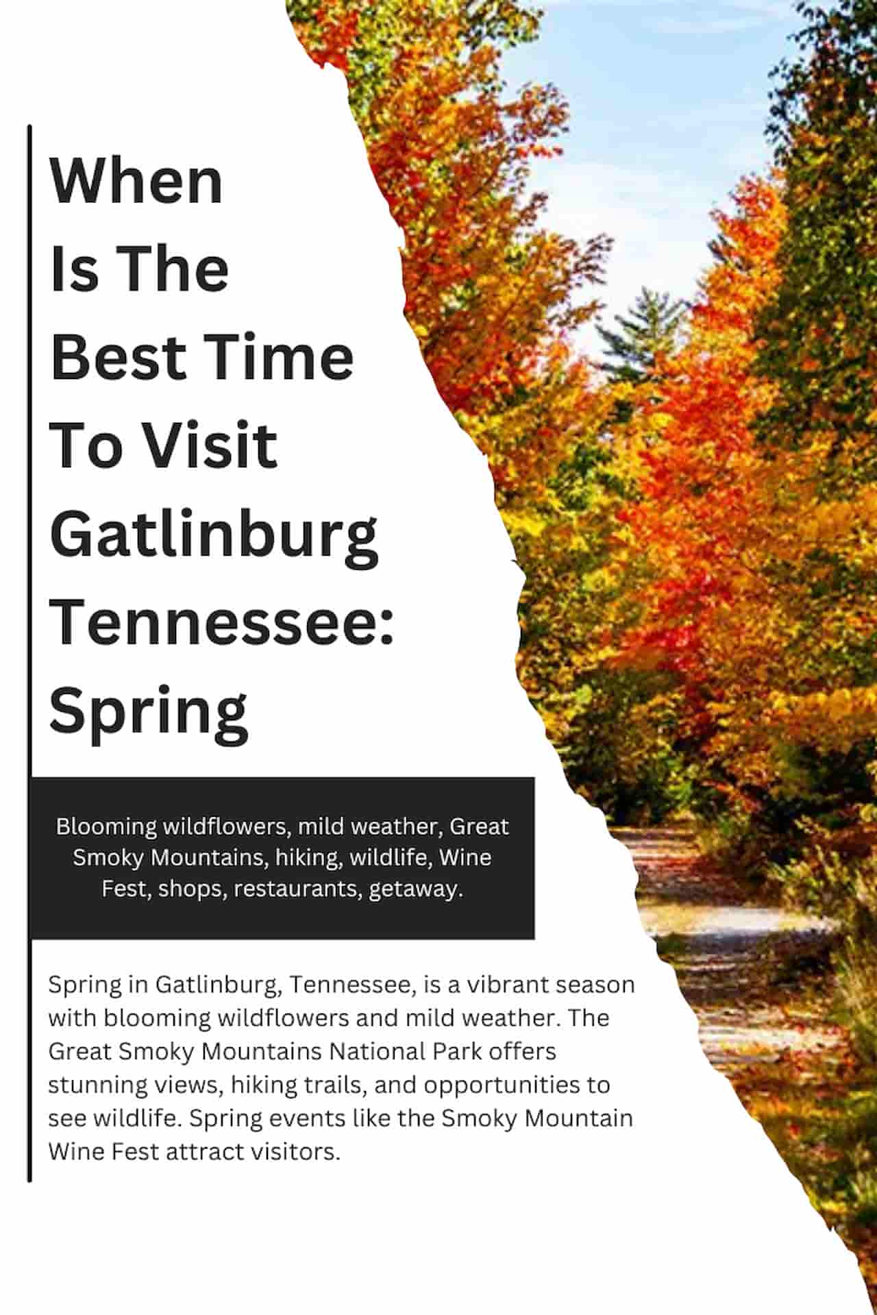 When Is The Best Time To Visit Gatlinburg Tennessee Spring
