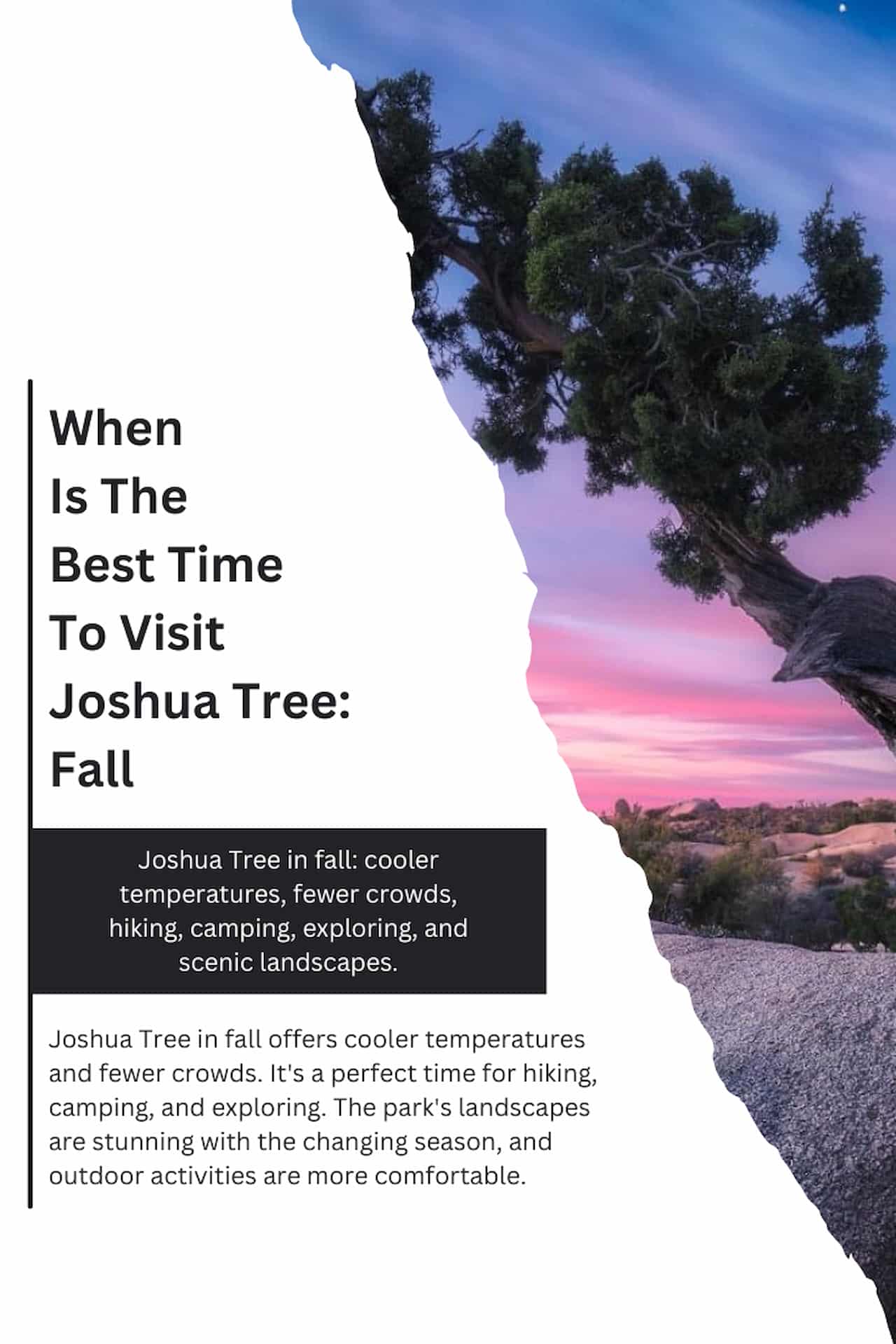 When Is The Best Time To Visit Joshua Tree Fall