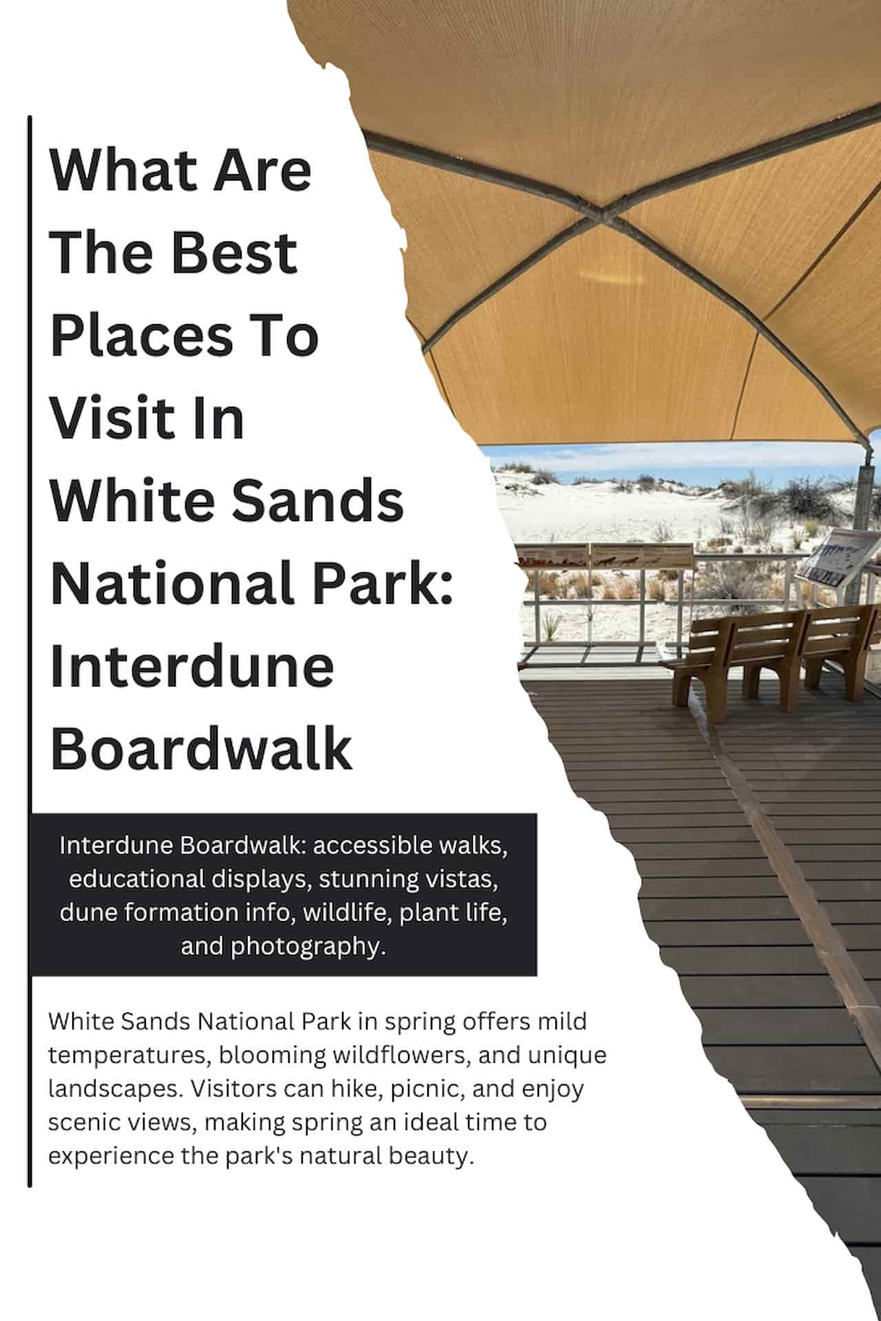 What Are The Best Places To Visit In White Sands National Park Interdune Boardwalk