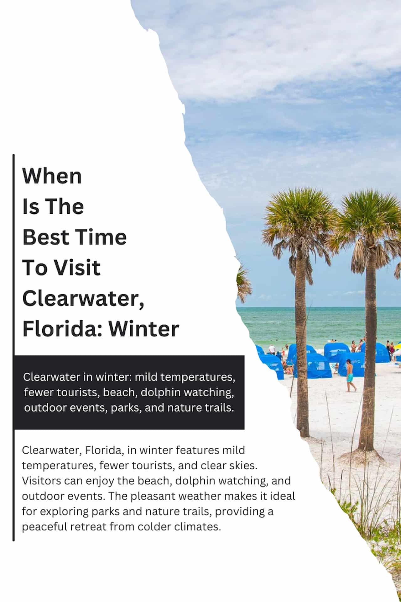 When Is The Best Time To Visit Clearwater Florida Winter