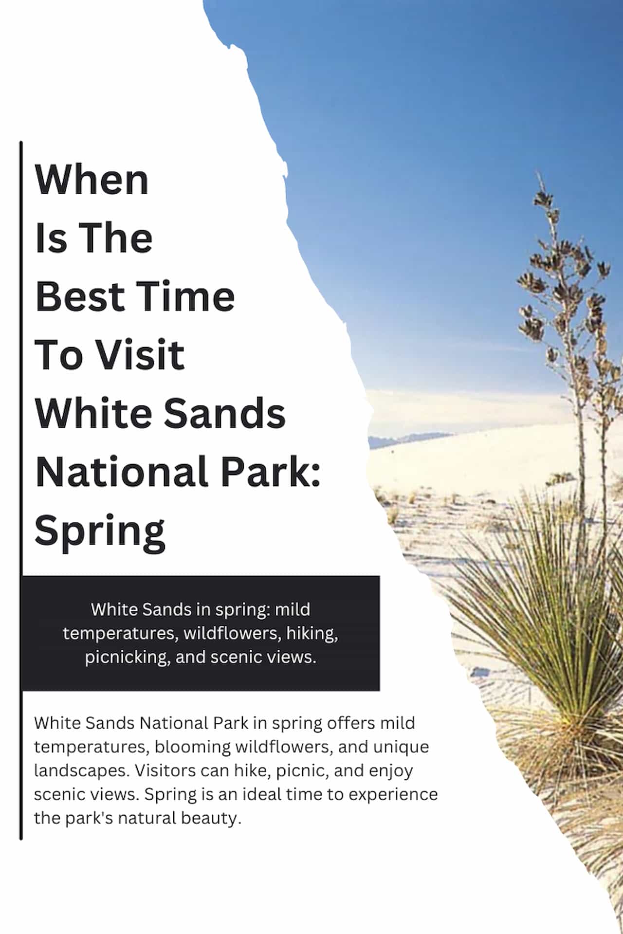 When Is The Best Time To Visit White Sands National Park Spring