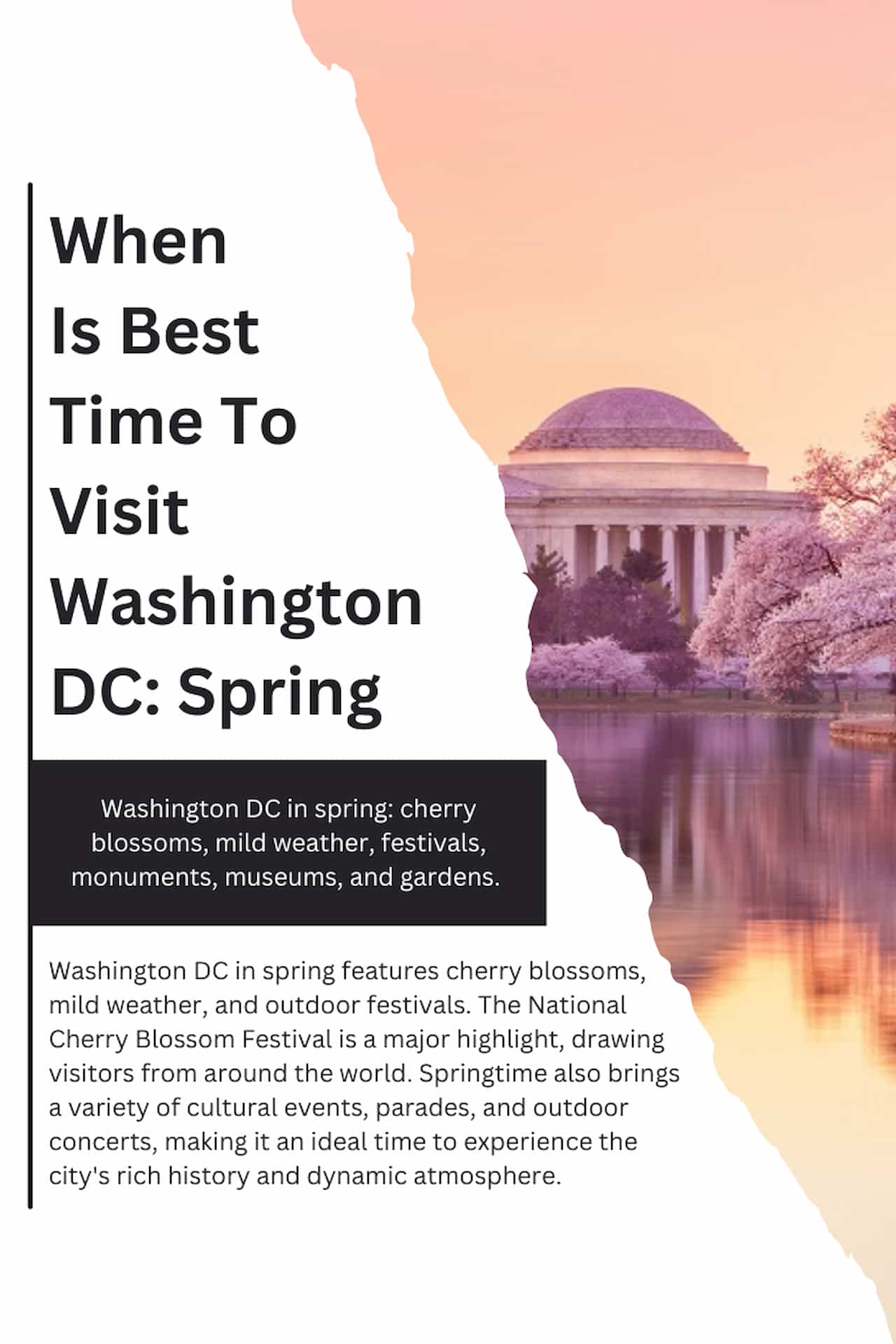 When Is Best Time To Visit Washington DC Spring