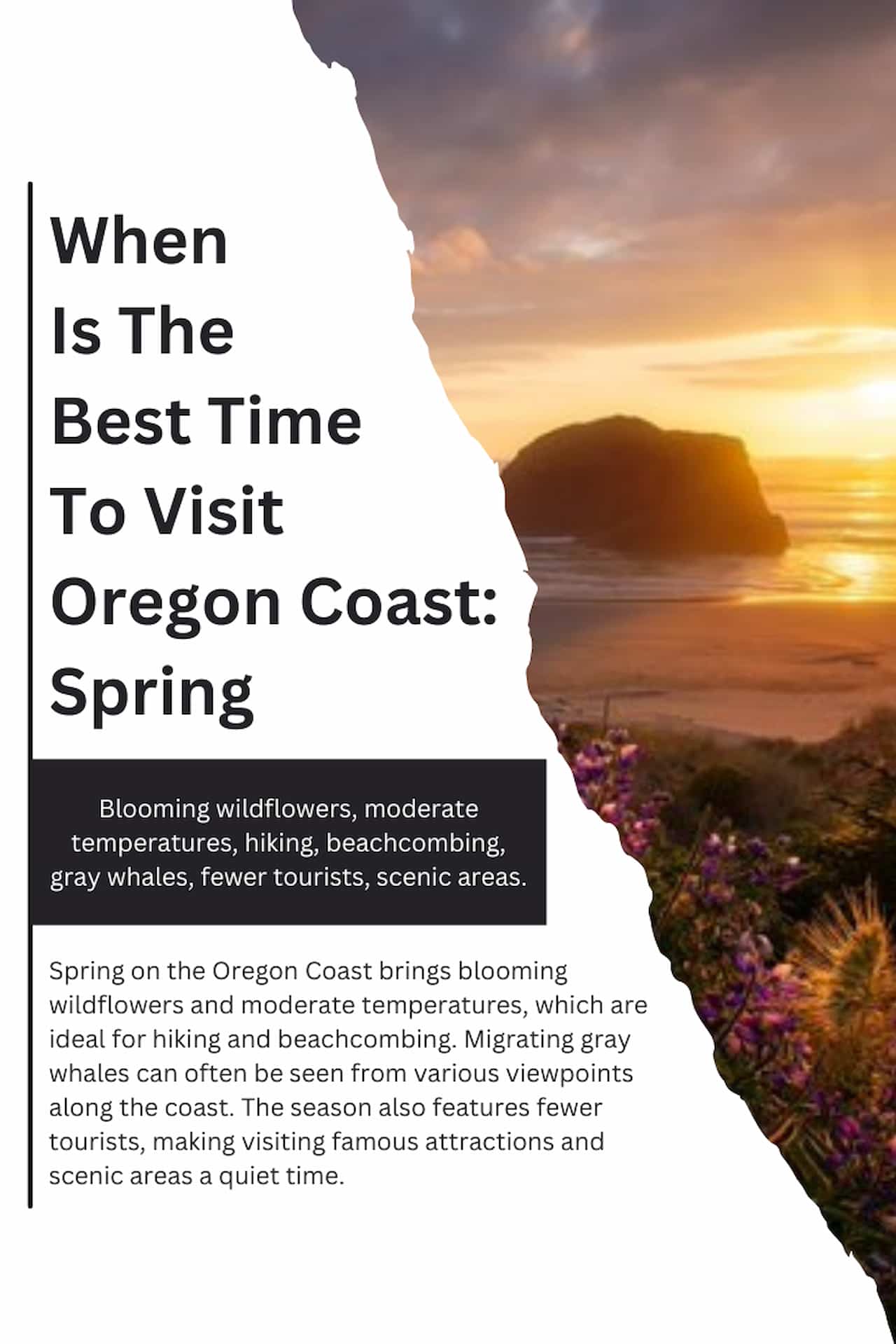 When Is The Best Time To Visit Oregon Coast Spring