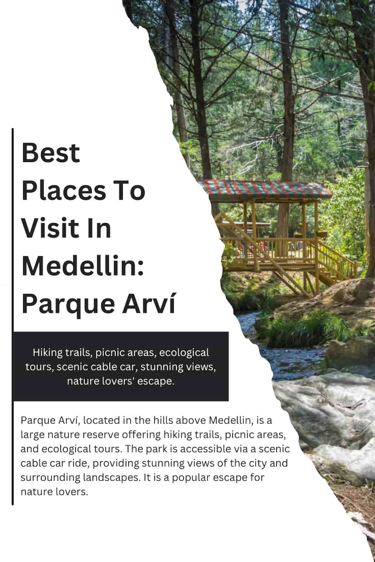 Best Places To Visit In Medellin Parque Arvi