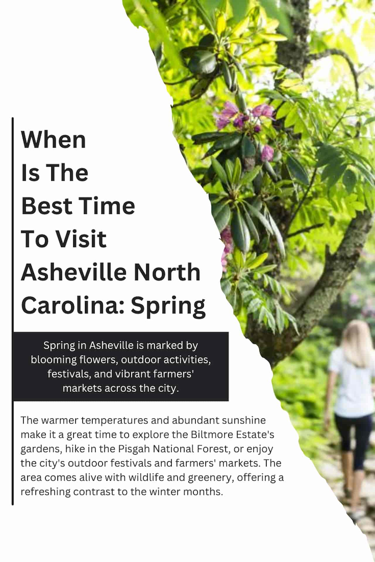 When Is The Best Time To Visit Asheville North Carolina Spring