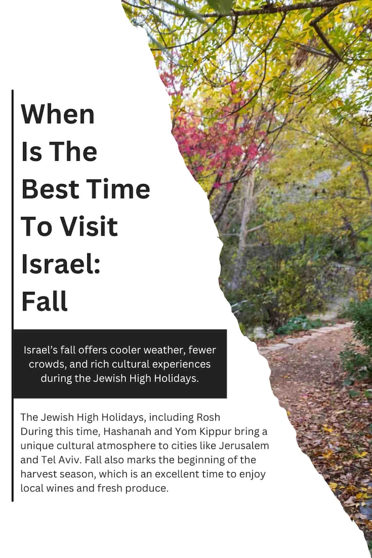 When Is The Best Time To Visit Israel Fall