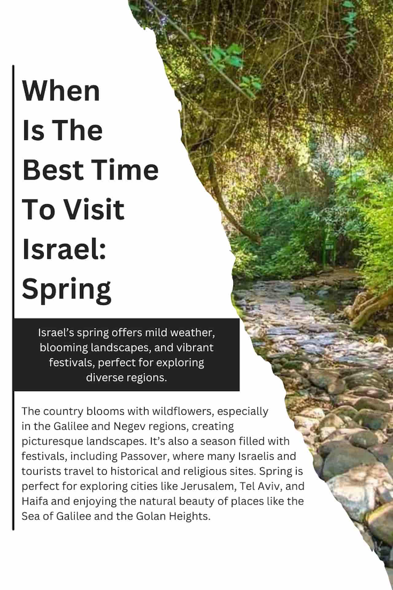 When Is The Best Time To Visit Israel Spring