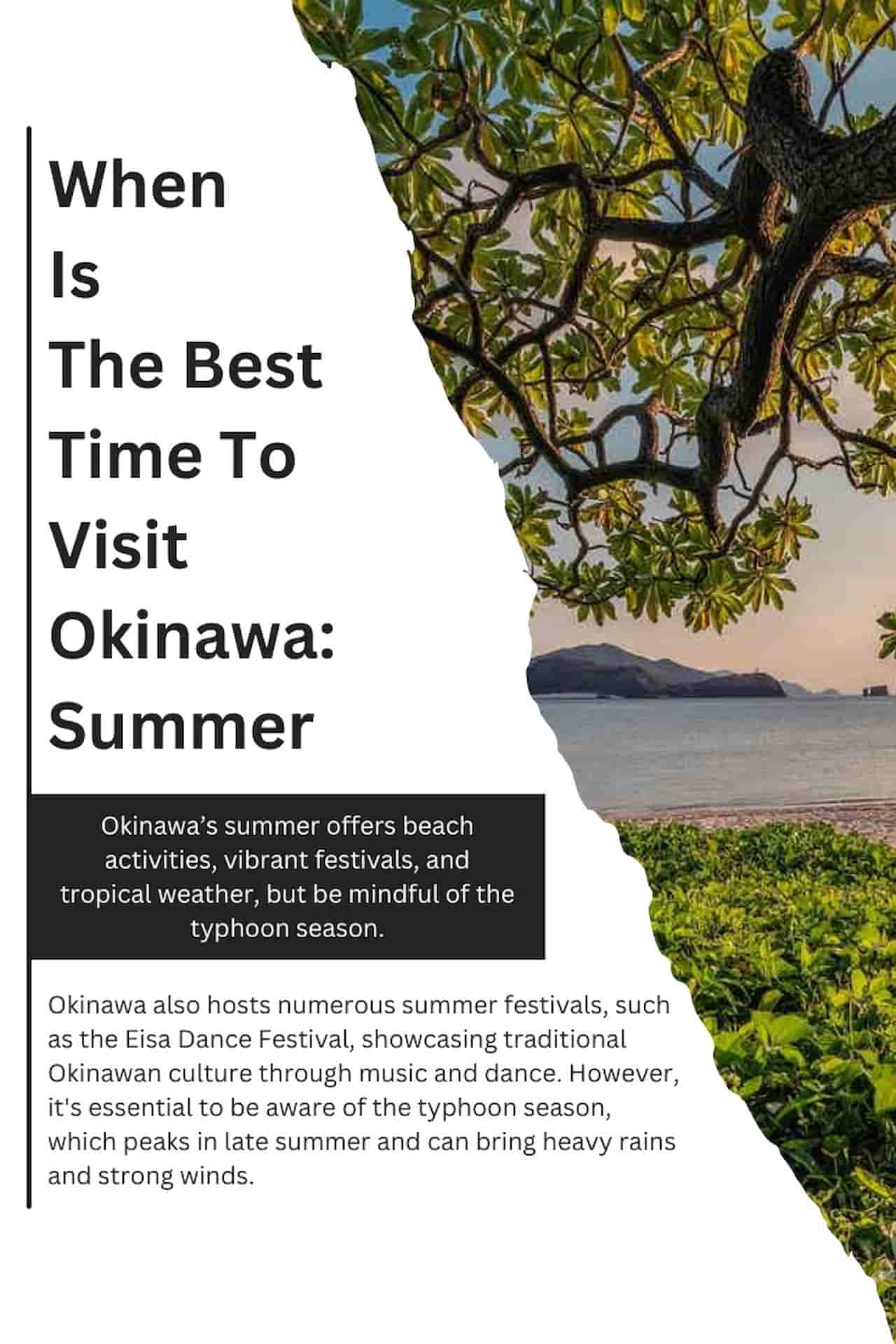 When Is The Best Time To Visit Okinawa Summer