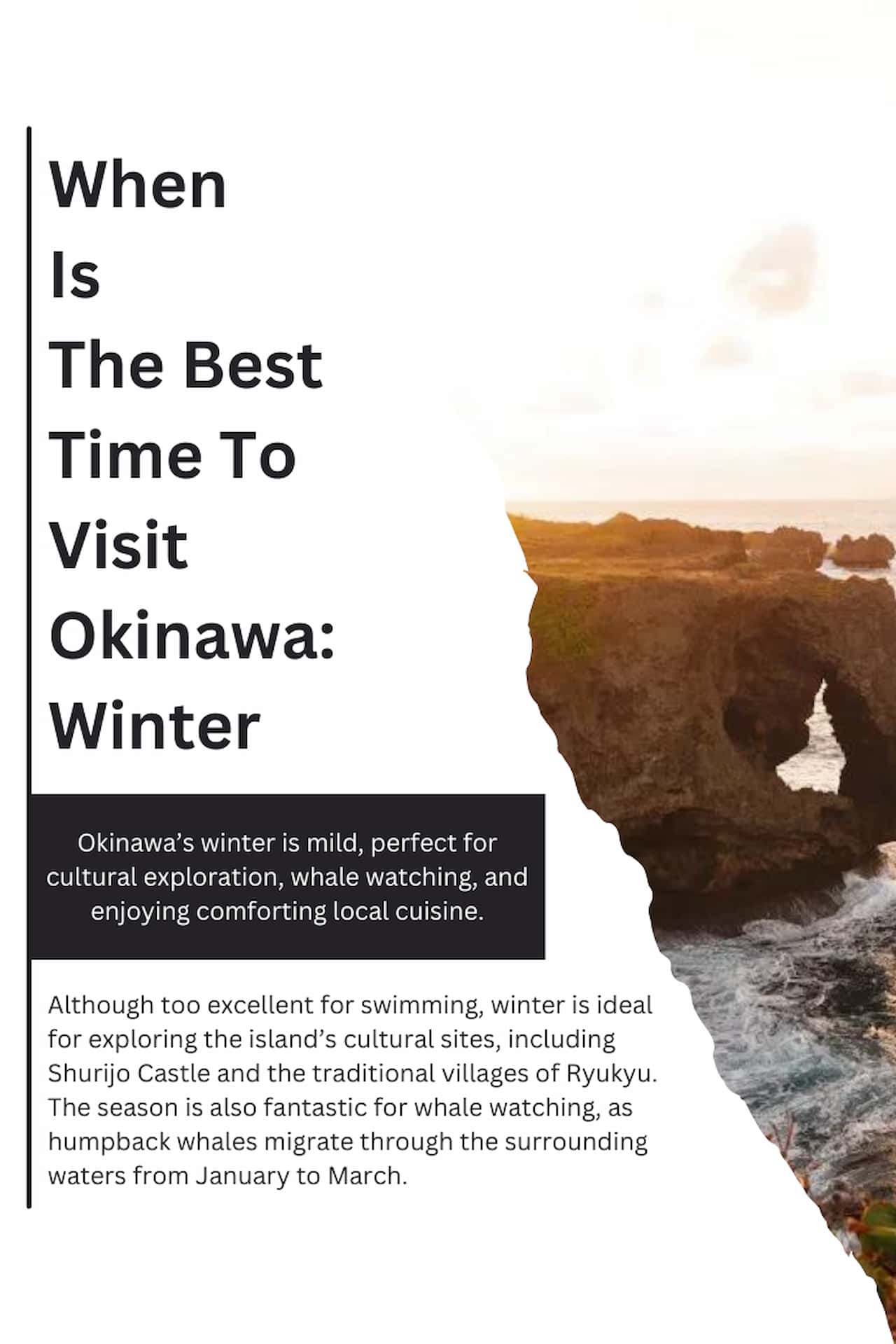 When Is The Best Time To Visit Okinawa Winter