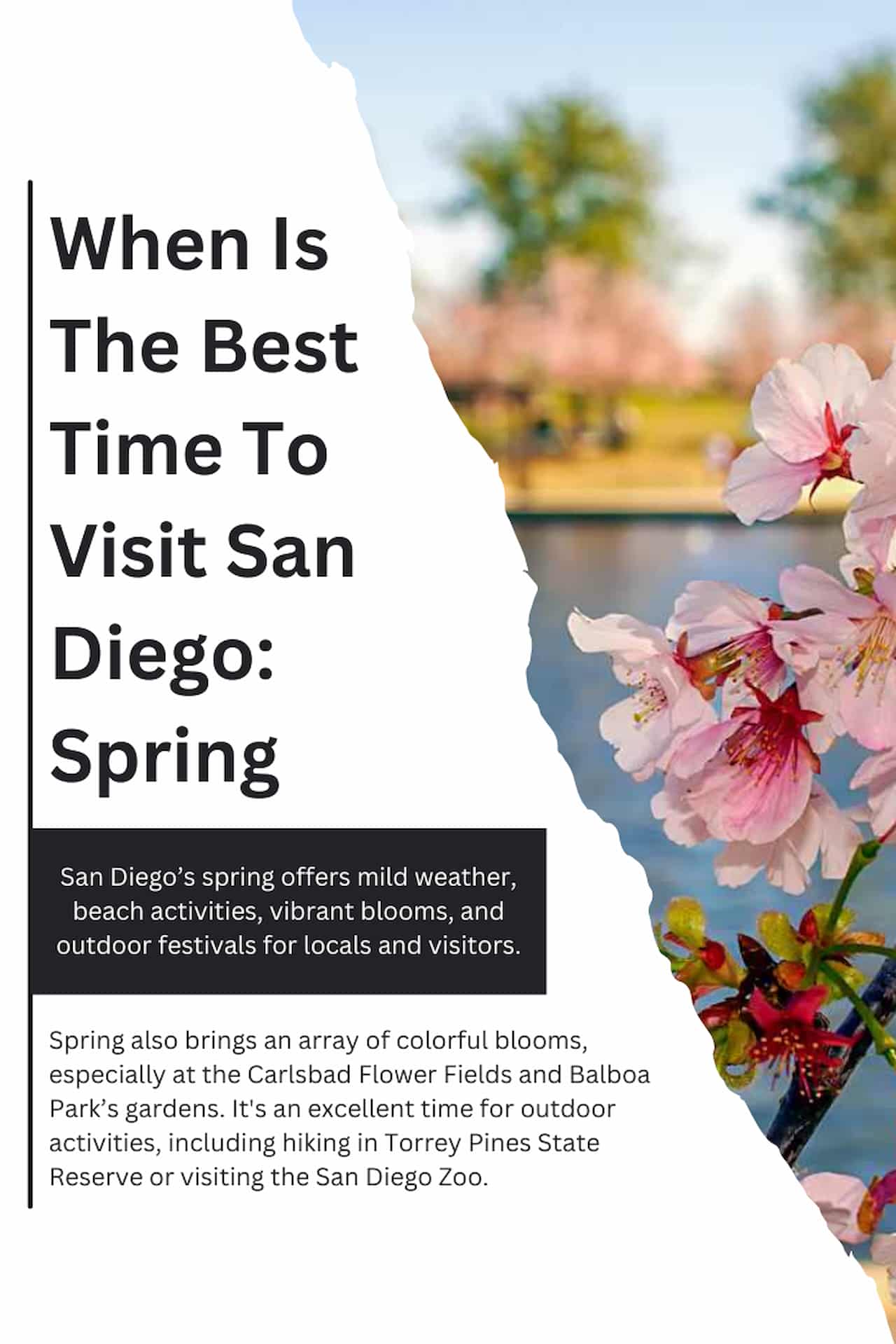 When Is The Best Time To Visit San Diego In Spring Season