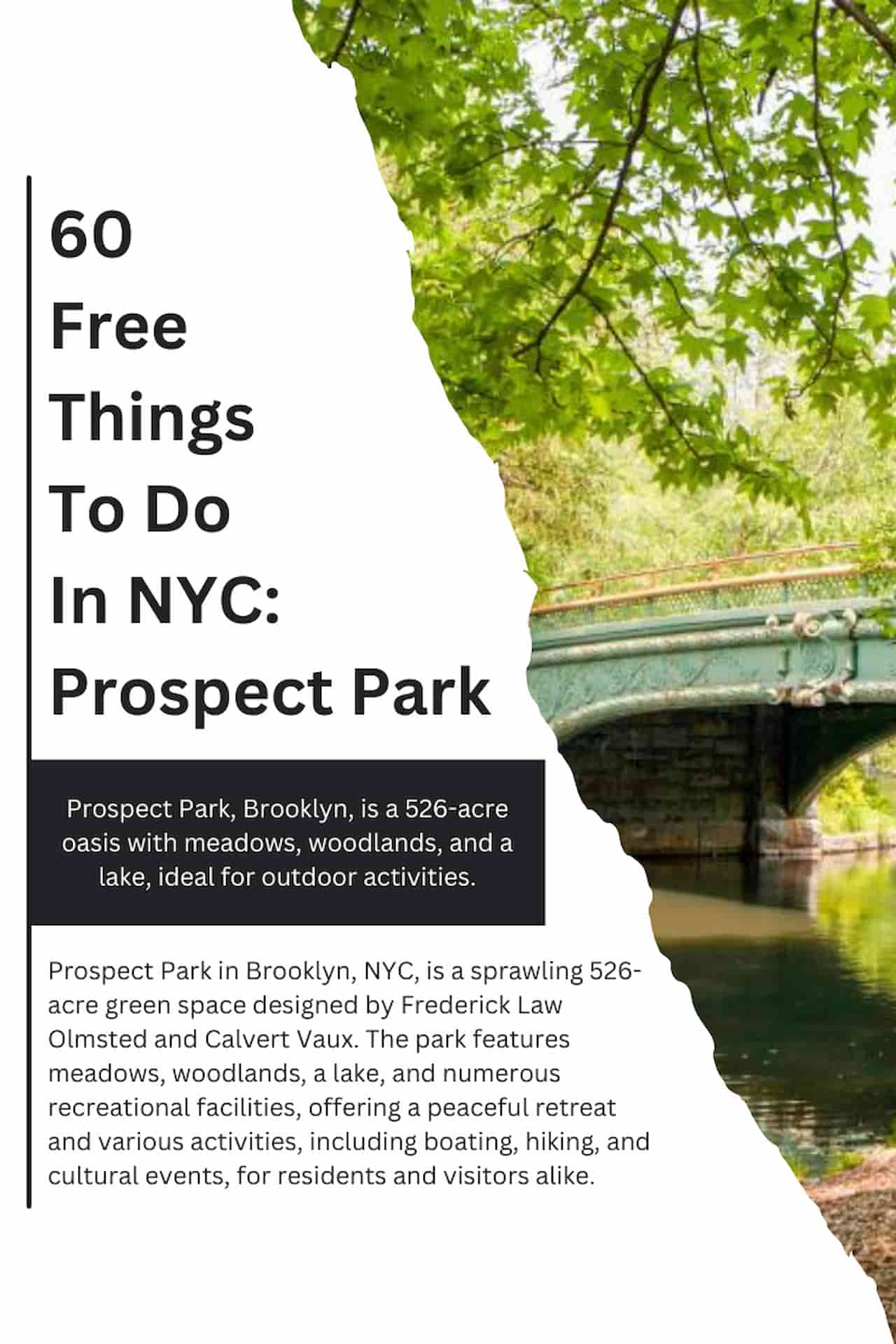 60 Free Things To Do In NYC Prospect Park
