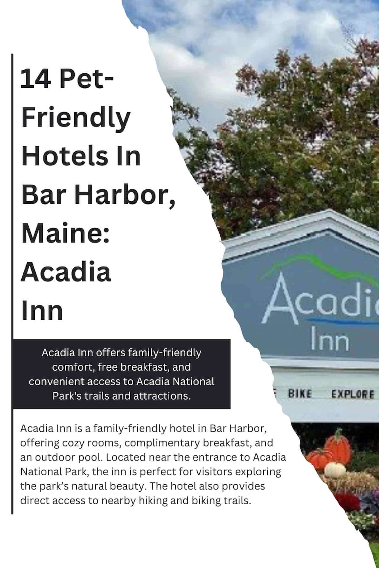 14 Pet Friendly Hotels In Bar Harbor Maine Acadia Inn