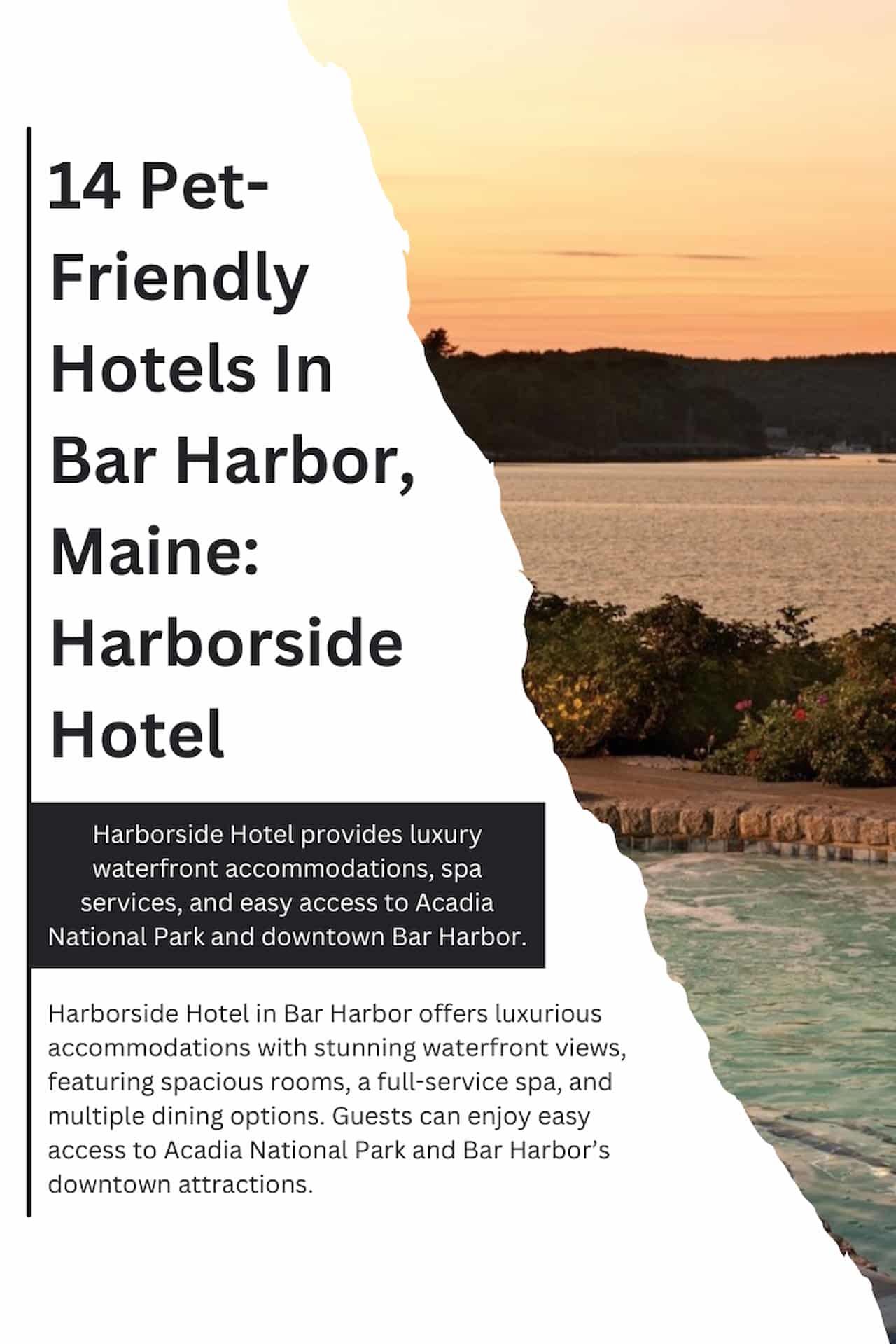 14 Pet Friendly Hotels In Bar Harbor Maine Harborside Hotel
