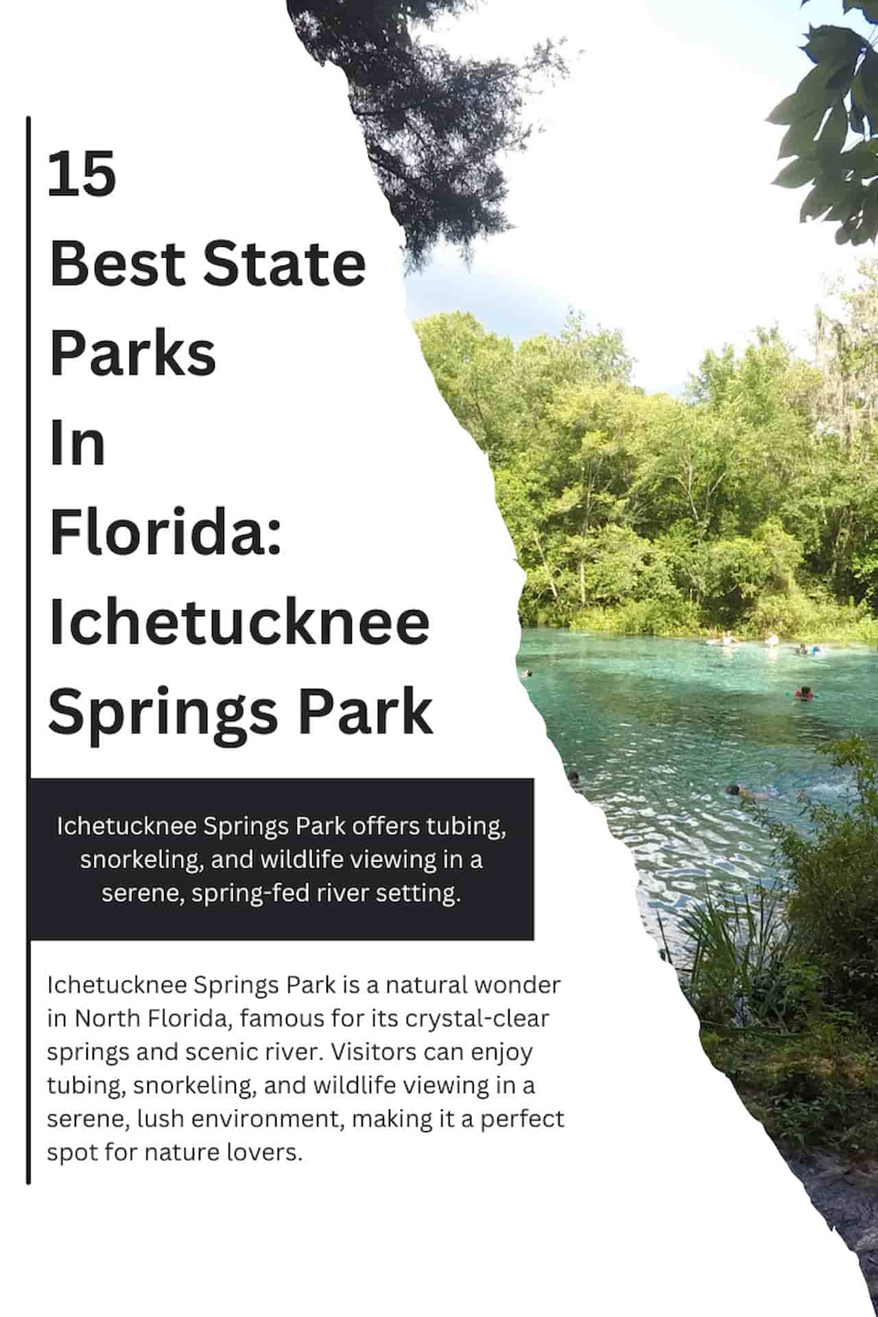 15 Best State Parks in Florida Ichetucknee Springs Park