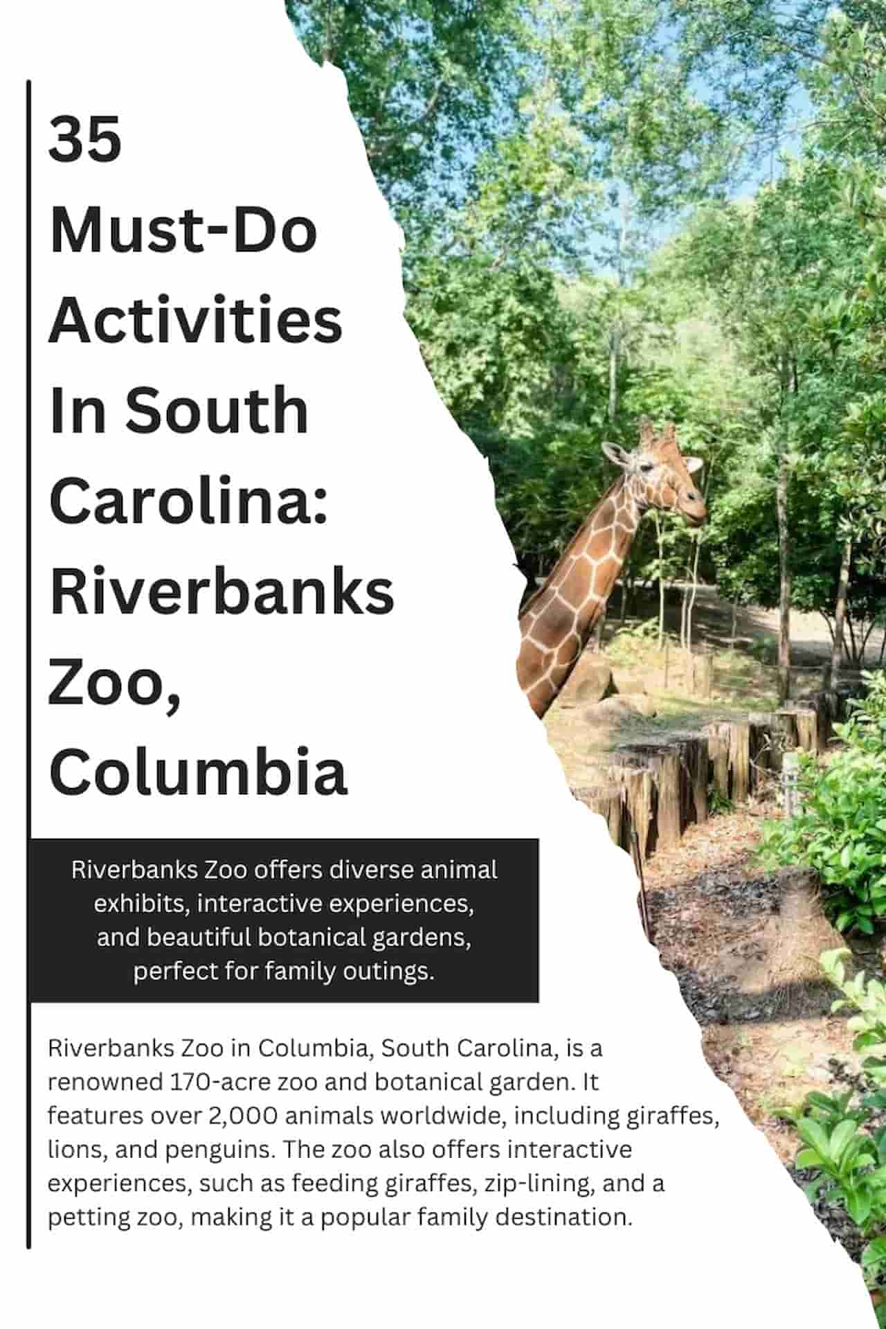 35 Must Do Activities In South Carolina Riverbanks Zoo Columbia